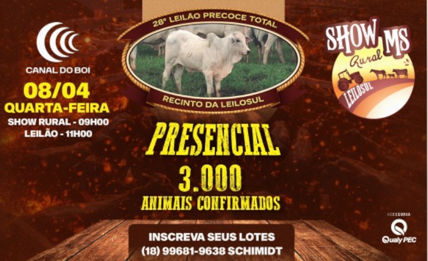  28º Leilão Precoce Total oferta gado de corte hoje às 12h no Canal do Boi
