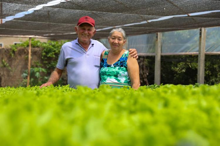 Casal de Ponta Porã aposta na hidroponia e fortalece produção com Senar/MS