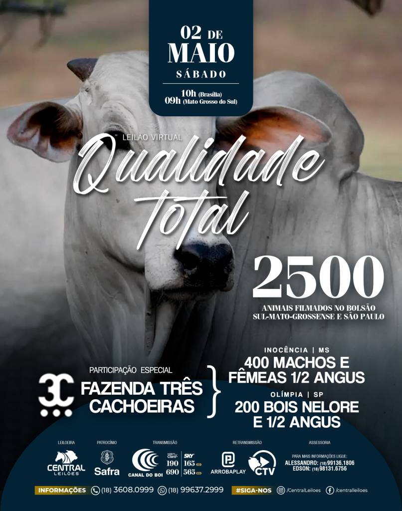 Leilão Virtual Qualidade Total oferta 2.500 animais de corte hoje no Canal do Boi