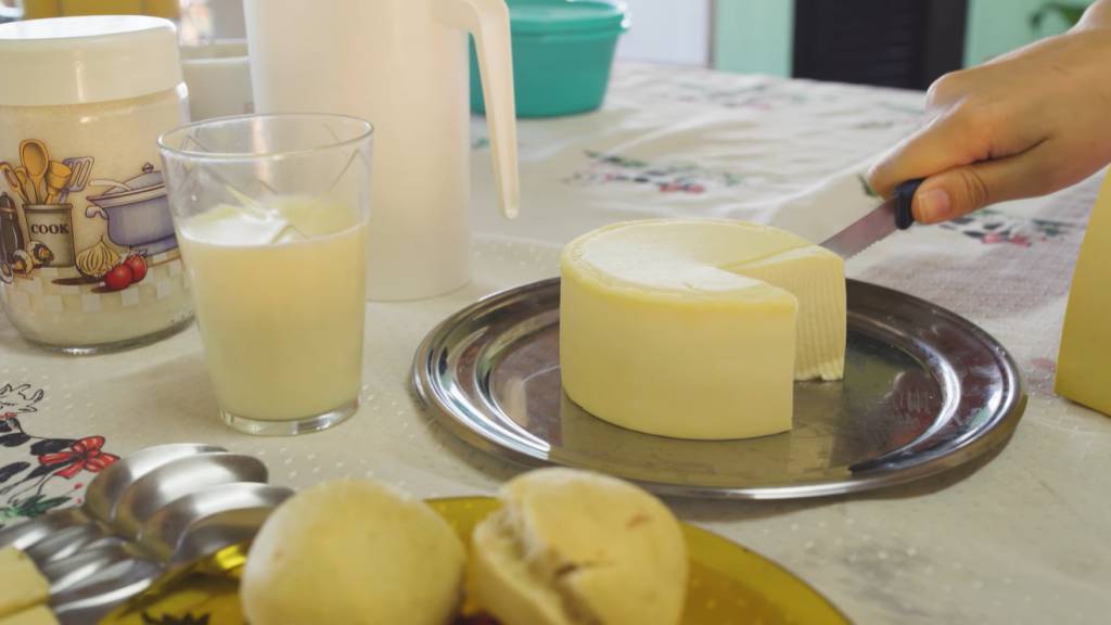 Da fazenda à prateleira: o ciclo do queijo artesanal em Mato Grosso do Sul