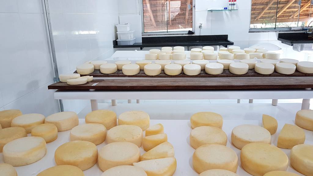 Agroindústria tem queda de -0,3% em novembro de 2025, ao comparar com o mesmo mês do ano anterior, revela o FGVAgro