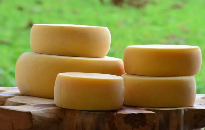 Queijos, frutas e sementes na mala: nova regra reforça fiscalização para evitar pragas no Brasil