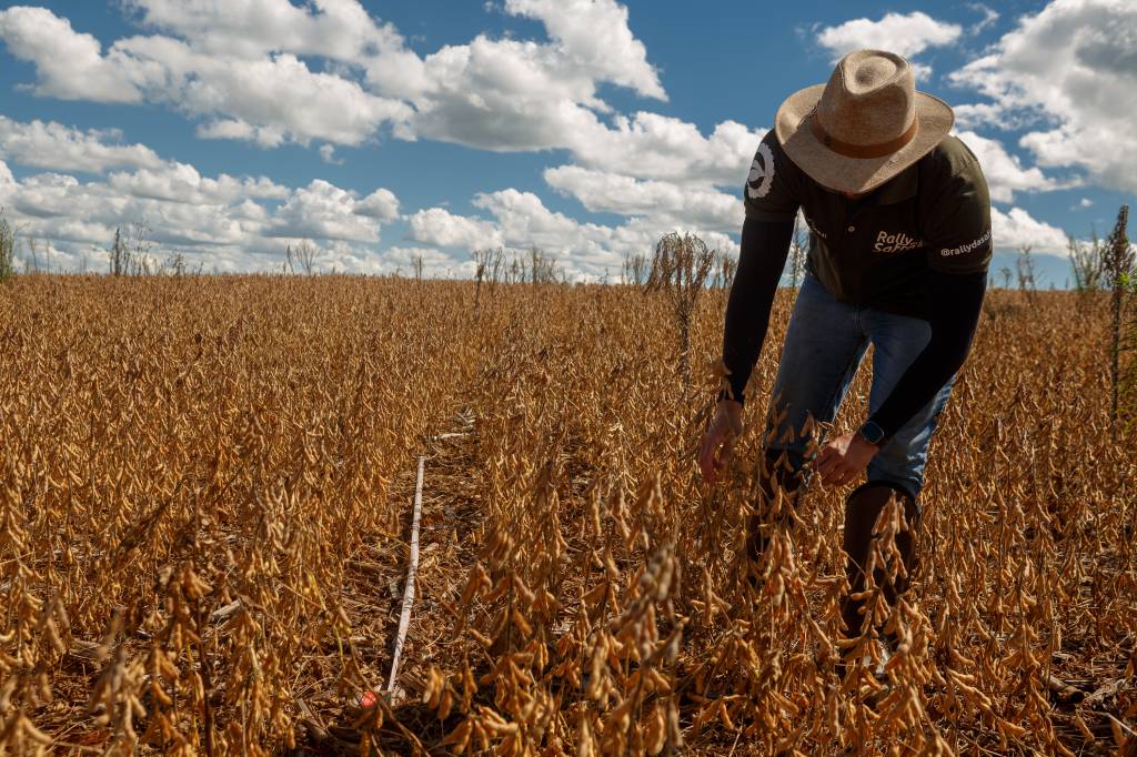 Safra de soja ganha 1,6 milhão de toneladas com encerramento de etapa do Rally da Safra