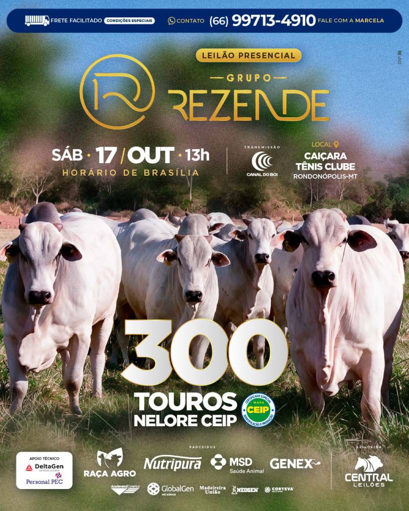 Grupo Rezende oferta touros nelore Ceip neste sábado no Canal do Boi