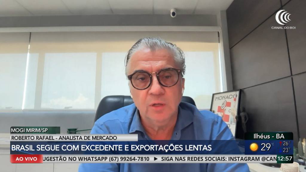 Excedente de milho e avanço da soja preocupam mercado brasileiro