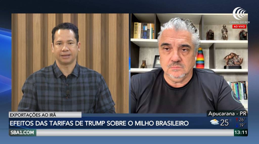 Efeitos das tarifas de Trump sobre o milho brasileiro exportado ao Irã