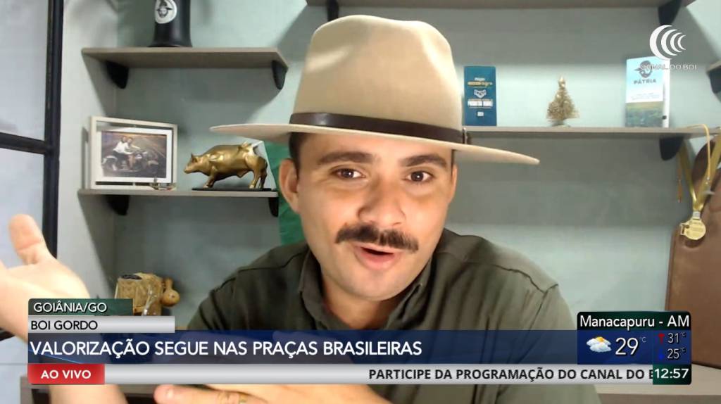 Mercado pecuário mantém valorização e acompanha cenário internacional