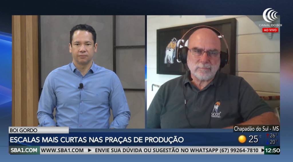 Arroba firme em fevereiro favorece criador e pressiona recria