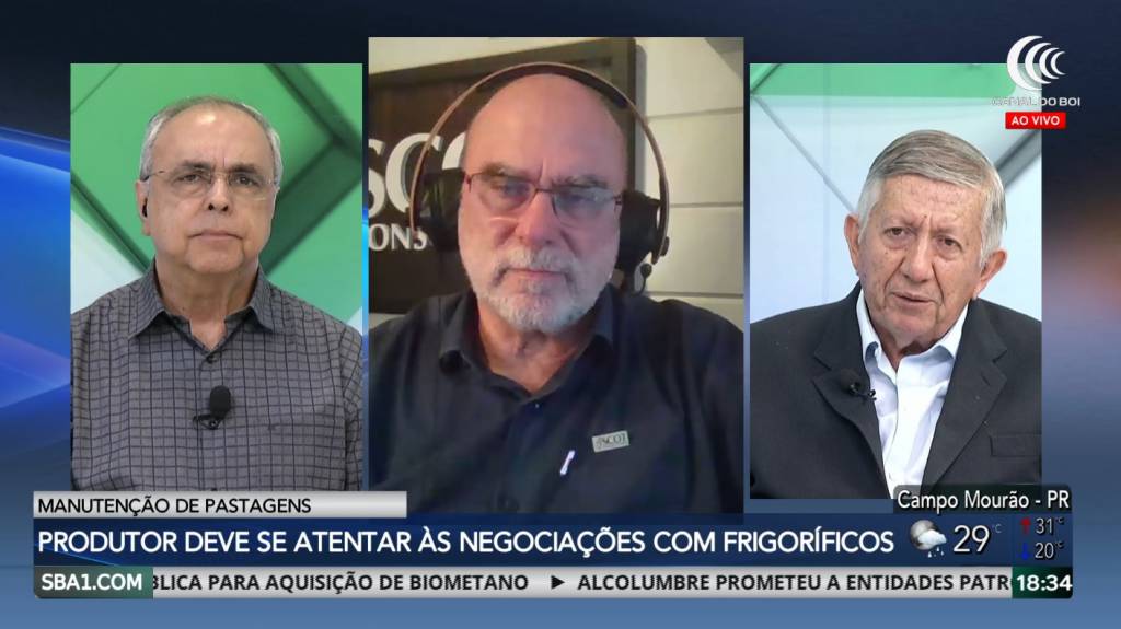 Demanda elevada eleva preços da arroba do boi gordo em janeiro e fevereiro