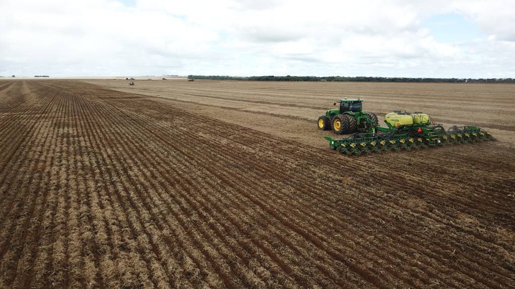 Excesso de chuvas preocupa produtores e impacta plantio do milho em Mato Grosso