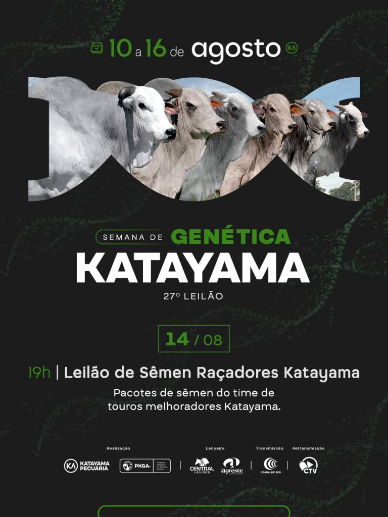 Katayama oferta sêmen de touros selecionados hoje às 19h no Canal do Boi