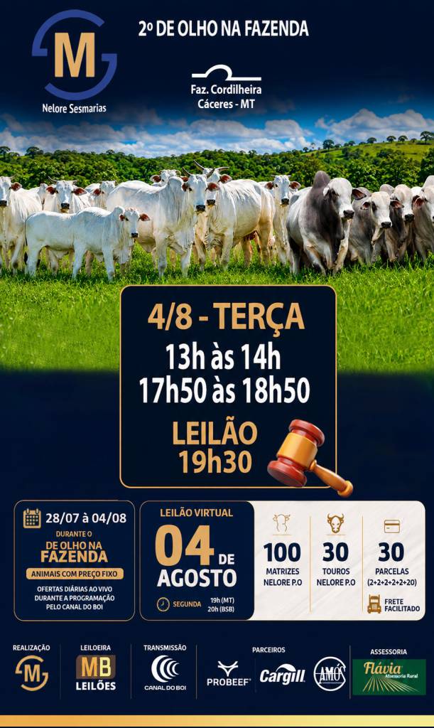 2º De Olho na Fazenda Nelore Sesmarias termina hoje na programação com um grande leilão às 19h30 no Canal do Boi