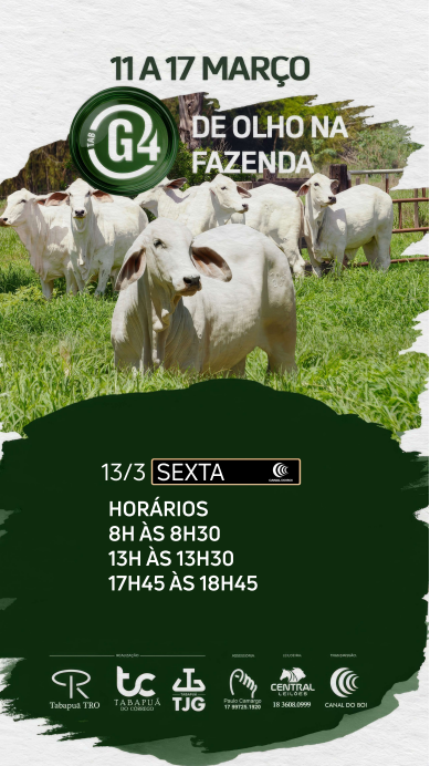 De Olho na Fazenda TAB G4 oferta animais tabapuã selecionados no Canal do Boi