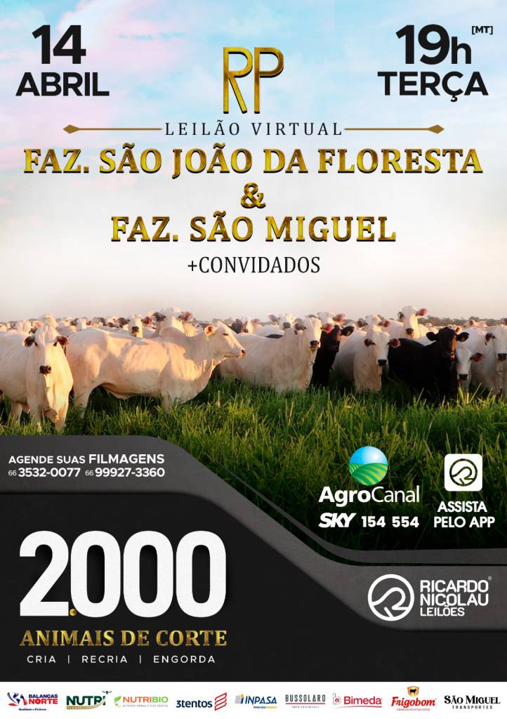 Leilão Fazendas São João da Floresta e São Miguel oferta gado de corte amanhã às 20h no Agro Canal