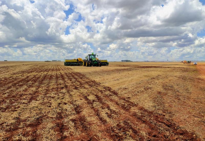 Conab: colheita de soja 2025/26 atinge 42%; plantio de milho 2ª safra, 65%