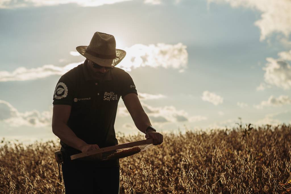 Rally da Safra avalia lavouras de soja no Sudeste do Mato Grosso