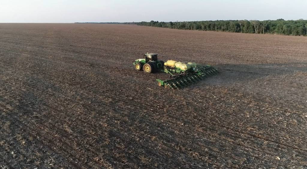 Grãos: plantio de soja na Argentina alcança 96,2% e de milho atinge 93,1%