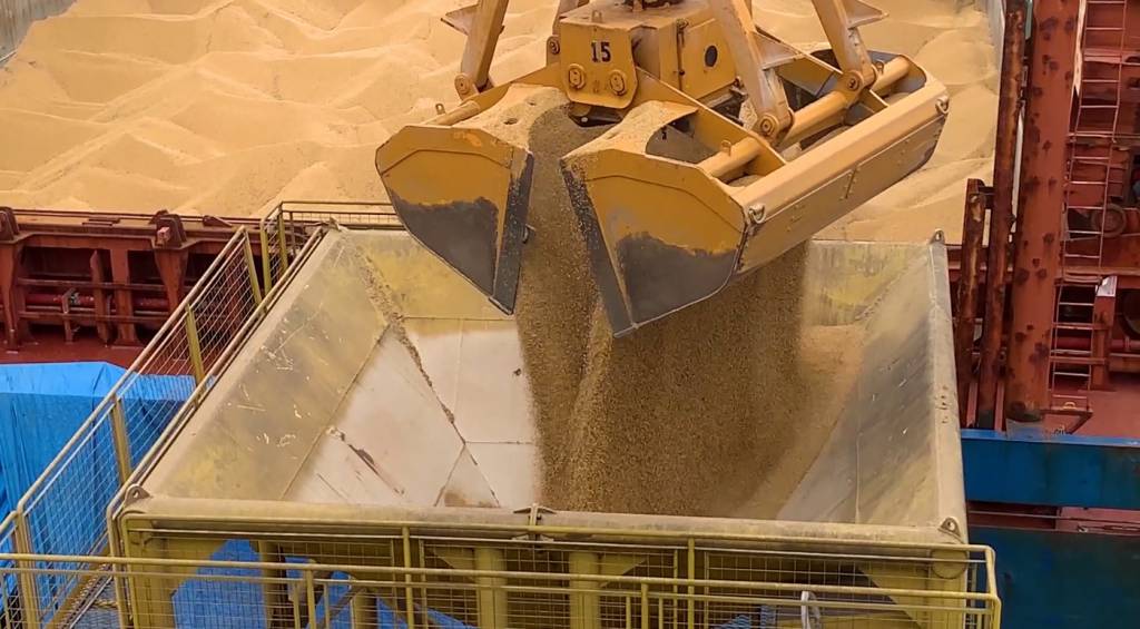 Preços da soja recuam e negócios escasseiam em início de ano pouco promissor