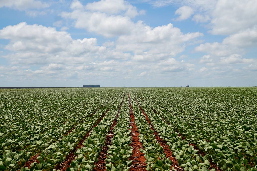 TRT-23 conclui julgamento e exclui Famato de ação sobre glifosato