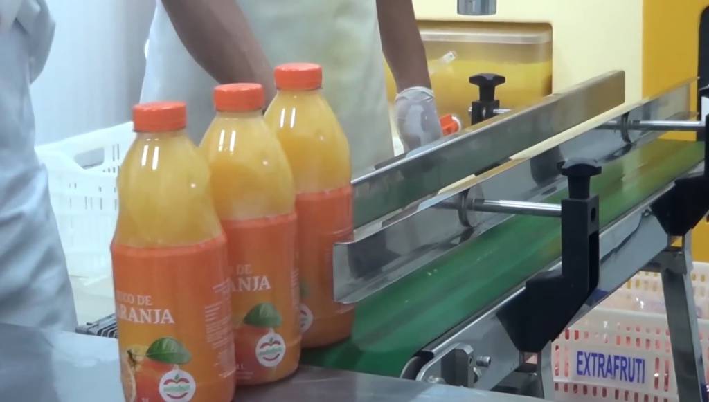 Acordo Mercosul-UE pode favorecer venda dos citros do Brasil