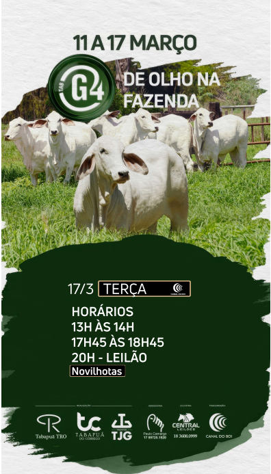 TAB G4 oferta novilhotas hoje às 19h no Canal do Boi