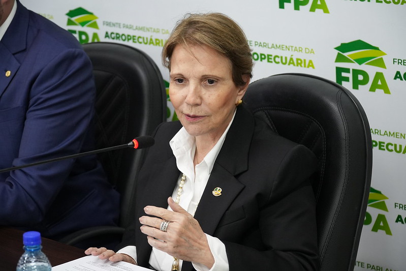 Mercosul-UE perdeu brilho por salvaguardas ao agro, mas há oportunidades, diz Tereza Cristina