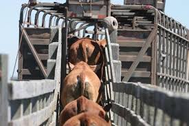 São Paulo moderniza a emissão de guias do transporte agropecuário