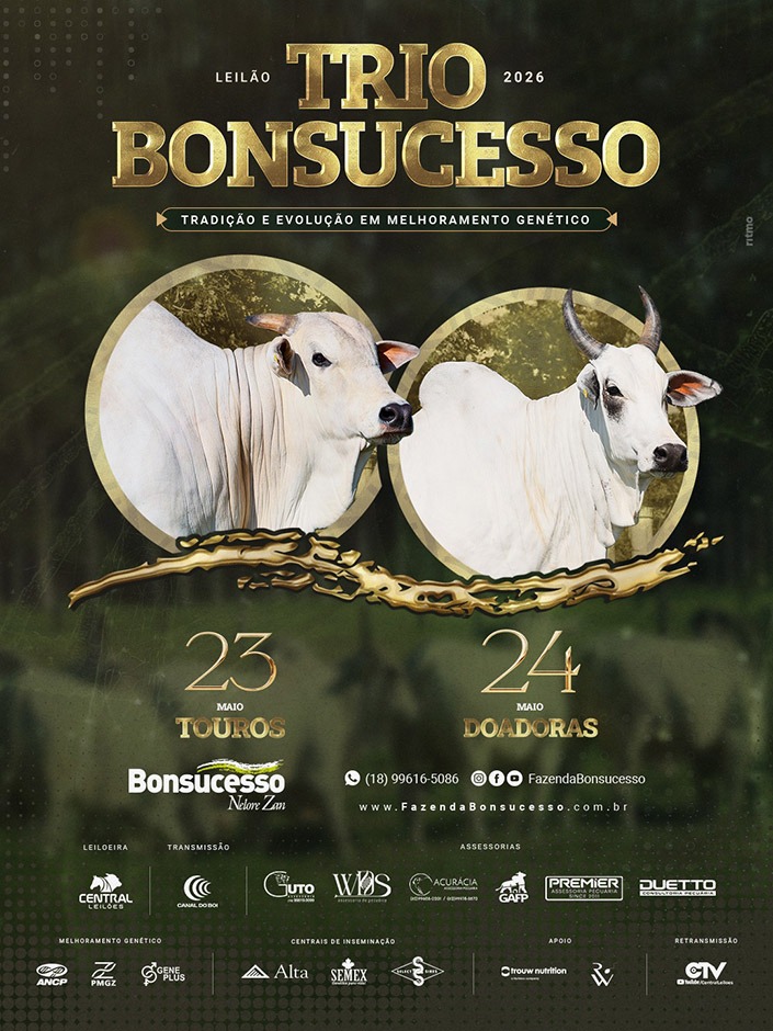 Trio Bonsucesso oferta touros e fêmeas nelore selecionadas neste final de semana no Canal do Boi