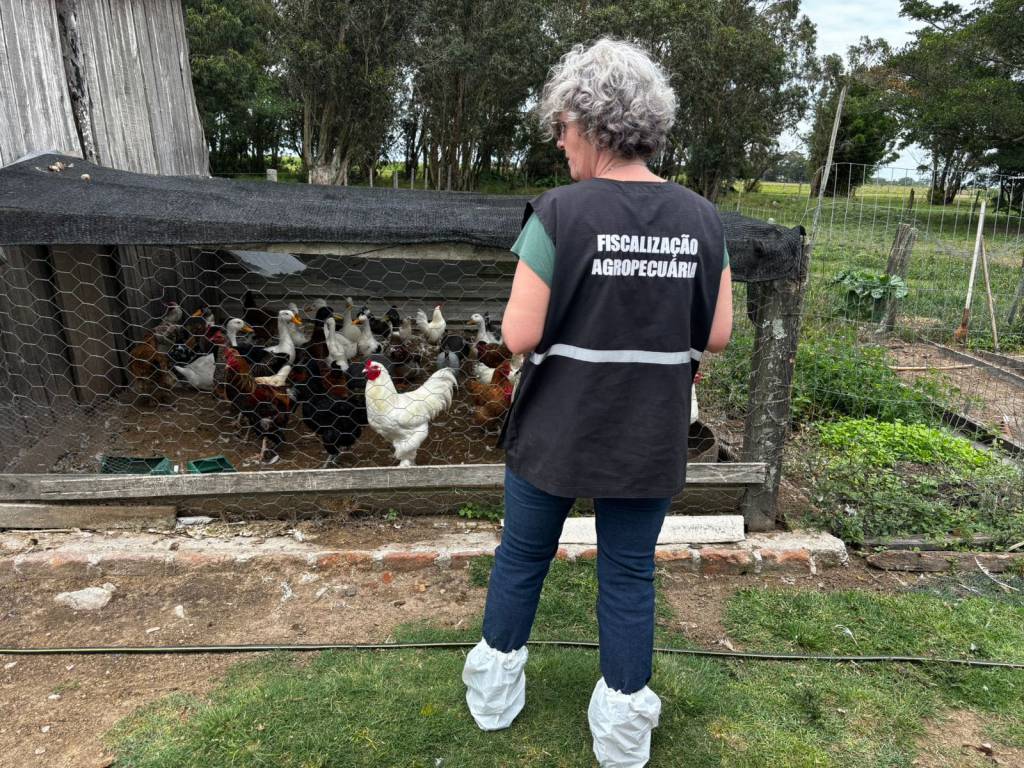 Seapi realiza vistoria de propriedades no raio de 10km do foco de gripe aviária em Santa Vitória do Palmar/RS