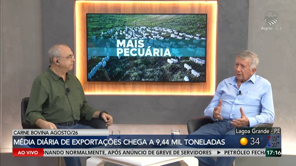 Exportações do agro batem recorde em julho com US$ 16,3 bilhões; carne bovina desacelera em agosto
