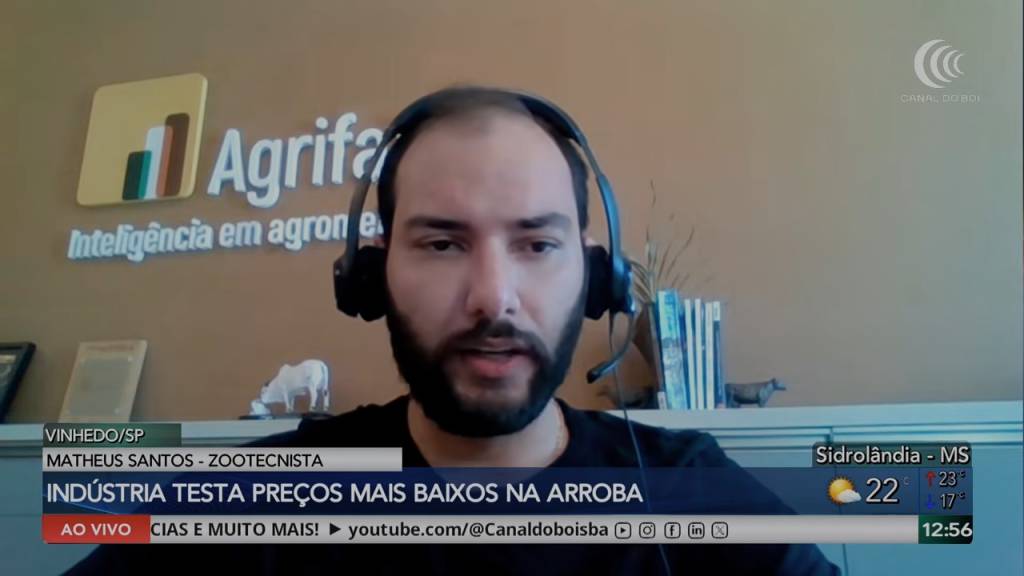 Mercado do boi gordo inicia segunda quinzena de junho com cautela e atenção às exportações