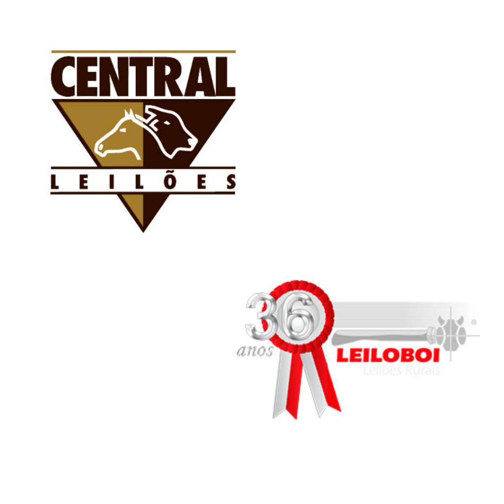 Central Leilões & Leiloboi