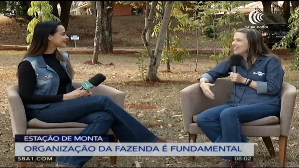 Estação de monta: veja como organizar calendário da fazenda