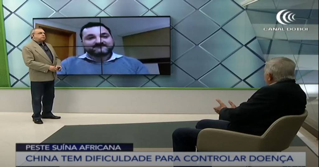 China seguirá dependendo da carne suína brasileira, diz diretor de mercado da ABPA