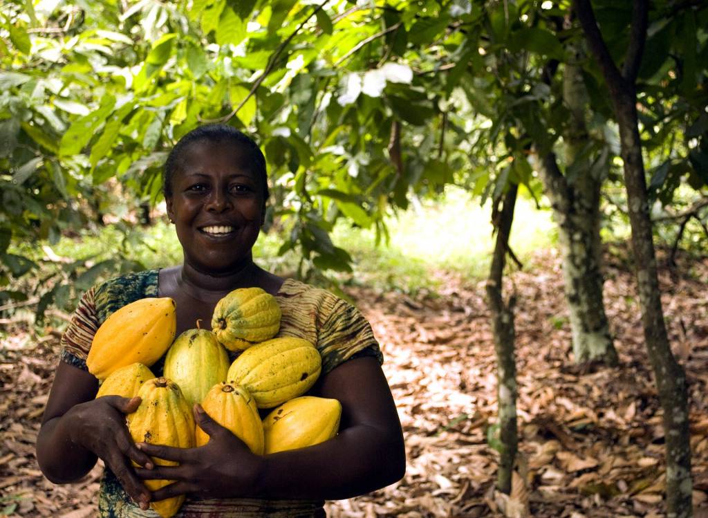 Dados da Conab apontam aumento da participação de mulheres na agricultura familiar