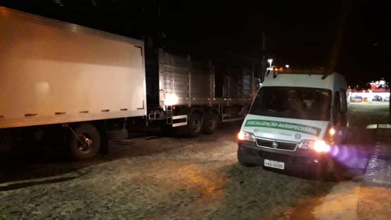 Carne suína sem procedência é apreendida no Rio Grande do Sul