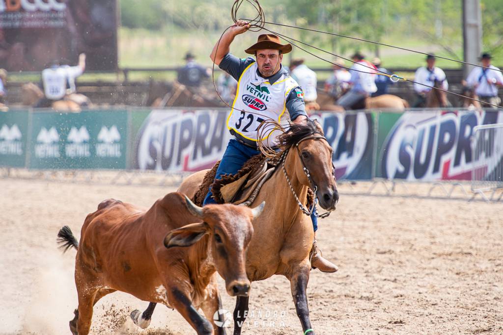 Crioulaço define primeiros campeões da raça Crioula no ciclo de 2021