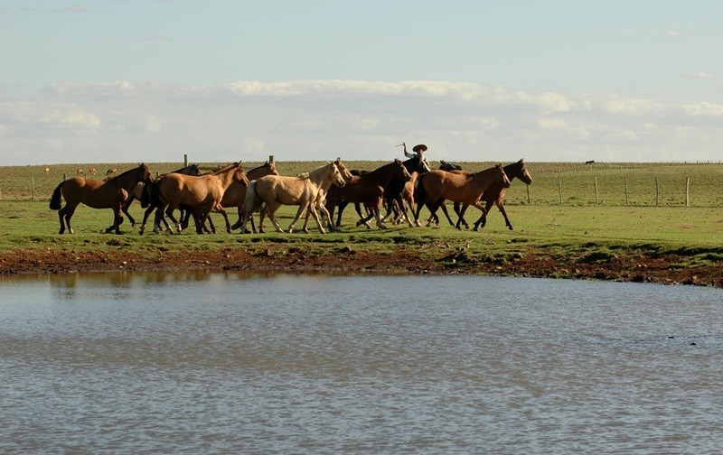 Tempo seco permanece no Rio Grande do Sul na próxima semana
