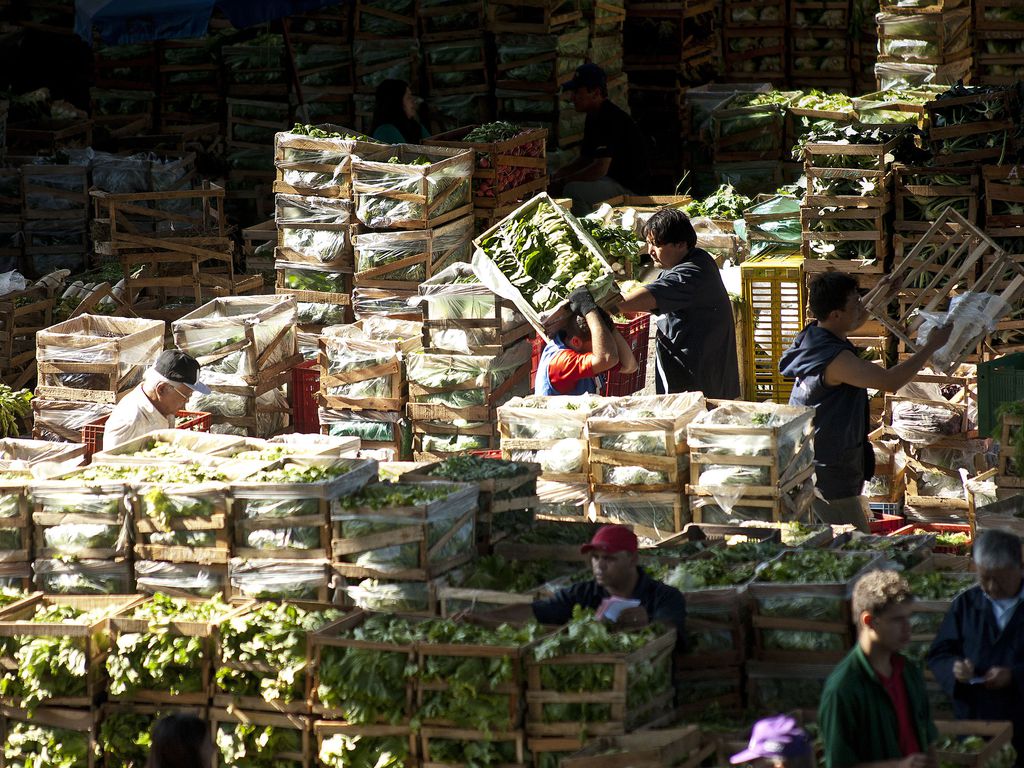 Ceasas brasileiras movimentaram cerca de R$ 42 bilhões no ano passado