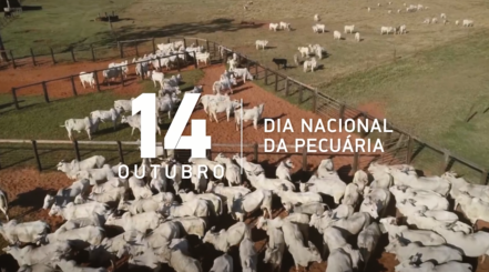 Dia da Pecuária: setor representa 32,3% do Valor Bruto da Produção