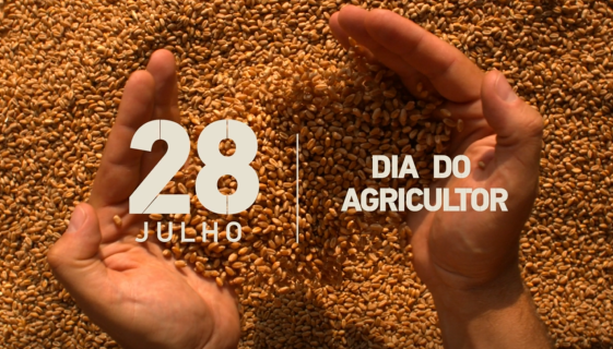 Dia do Agricultor: Brasil é quarto maior produtor e segundo maior exportador