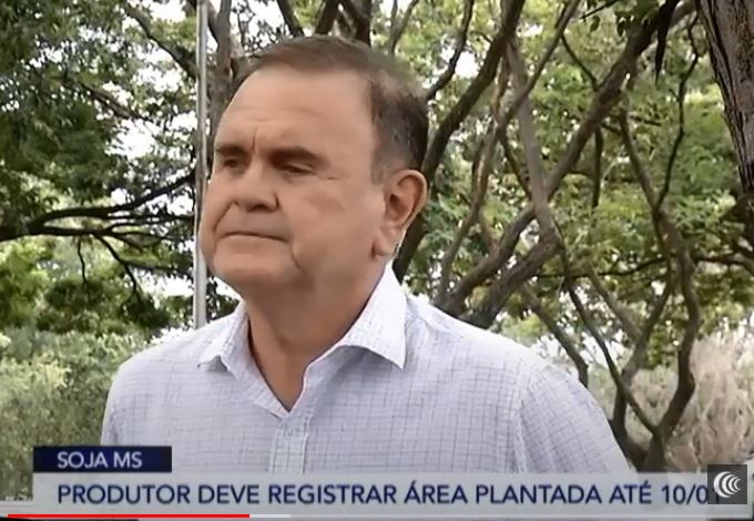 Sem declaração de plantio, produtor de soja pode ser multado?
