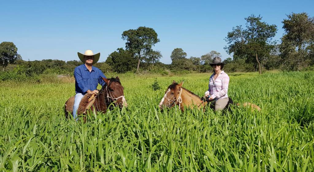 Especial: Pecuarista tem motivos para comemorar seu dia
