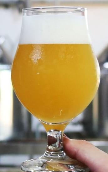 Empresário de MS cria cerveja à base de soja
