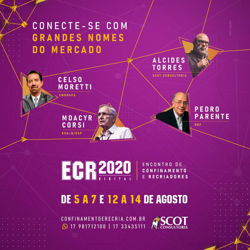 ECR 2020 Digital: “A importância da recria antes do bezerro nascer” foi tema do primeiro dia