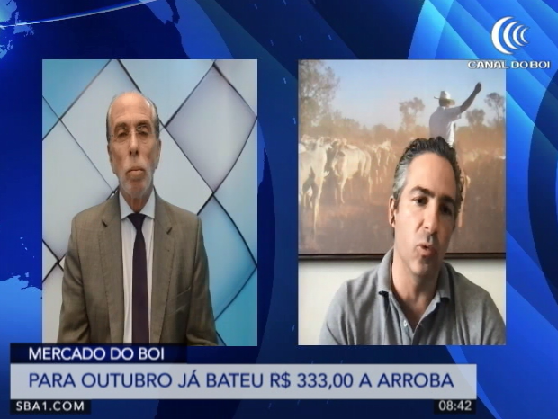 Boi gordo terá preços firmes até final de 2021, afirma Caio Junqueira