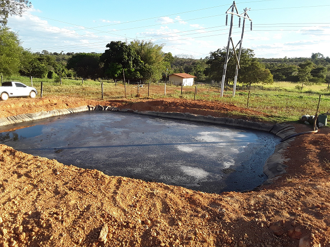 Produtor rural transforma dejetos de boi em renda com sustentabilidade