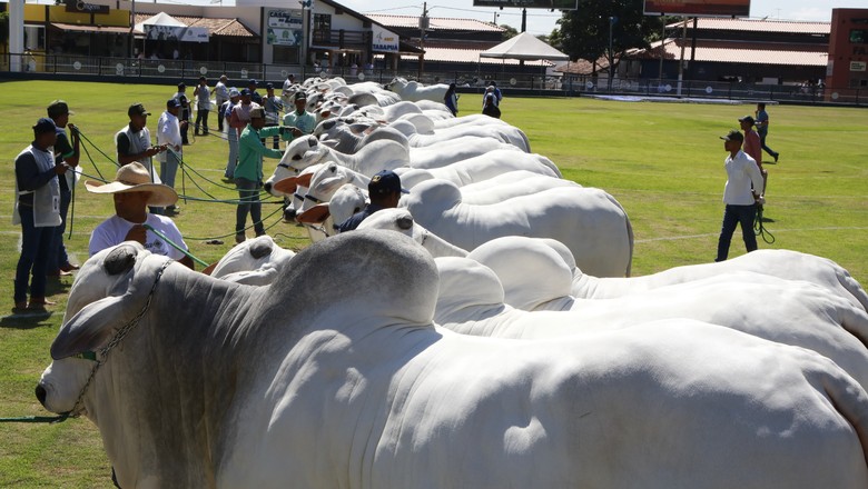 Inscrições para a ExpoZebu 2021 começam em 28 de janeiro