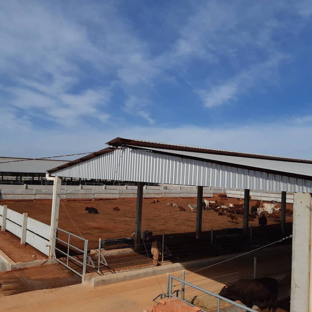 Fazenda utiliza modelo Compost Barn para confinar animais de corte