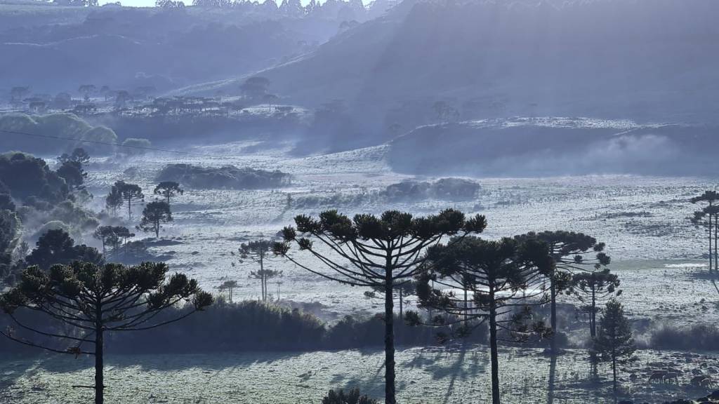 Queda nas temperaturas: São Joaquim registra geada ao amanhecer